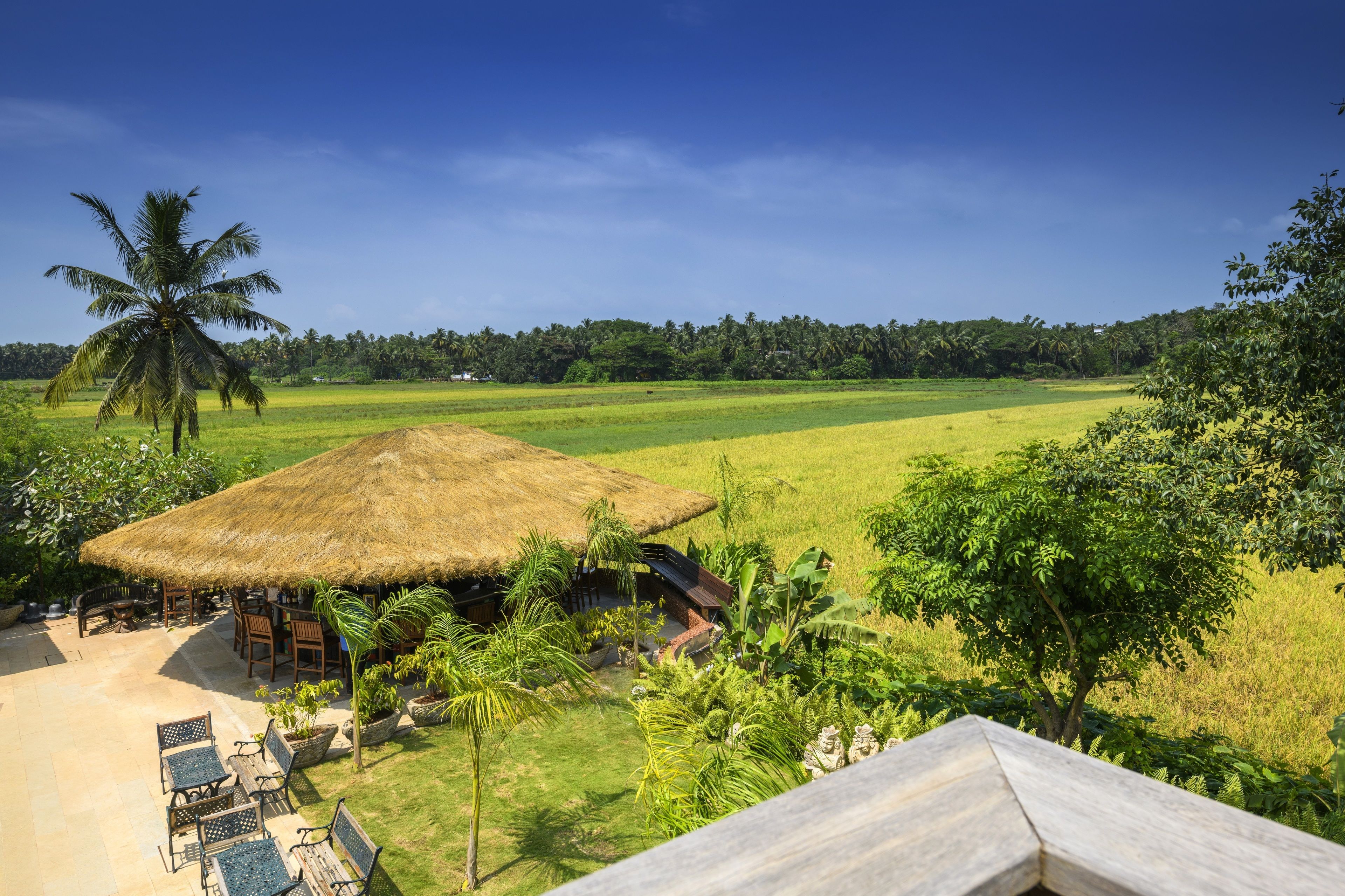 A thatched-roof hut with outdoor seating, surrounded by lush greenery and a rice field.