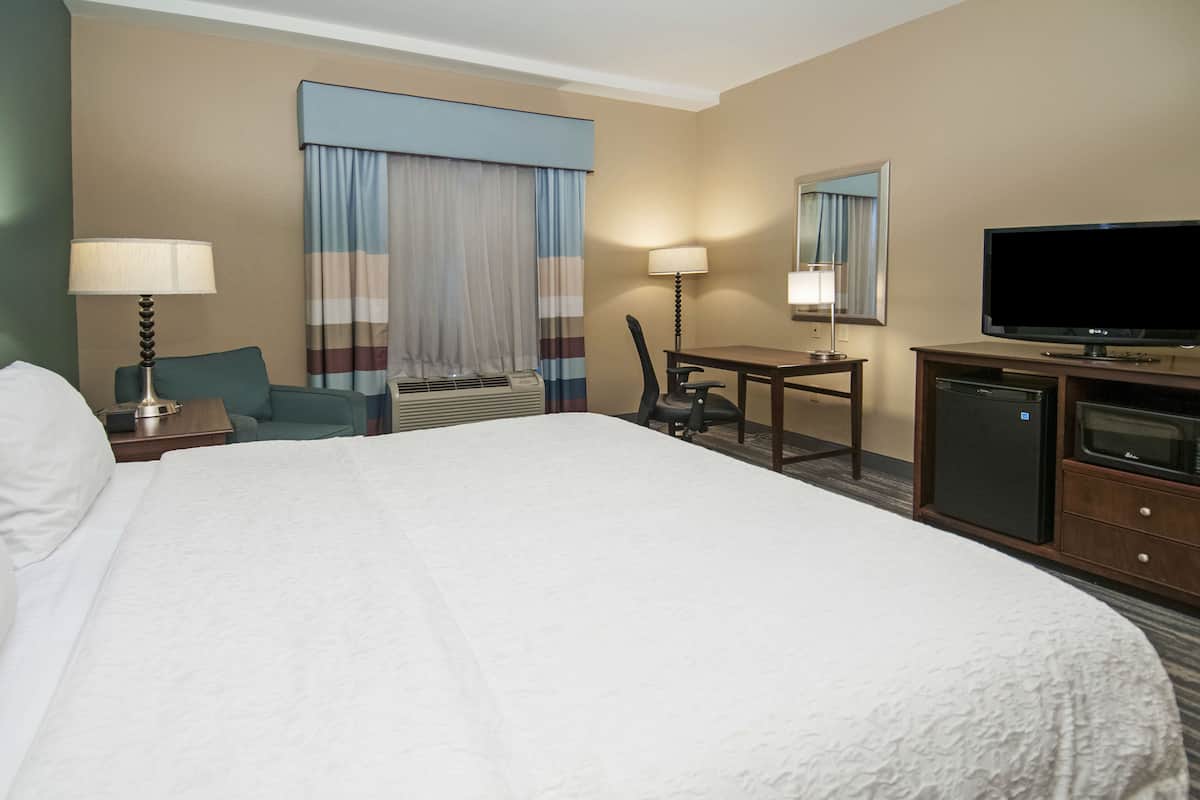 Habitación de hotel con una cama grande, un escritorio con silla, televisión y minibar.