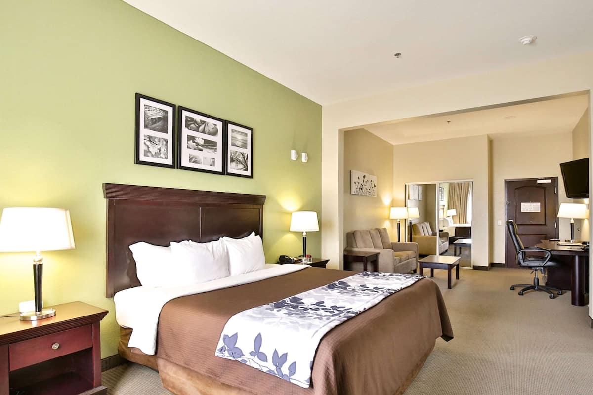 Une chambre d’hôtel avec un grand lit, deux tables de chevet avec des lampes, un bureau avec une chaise et un téléviseur.