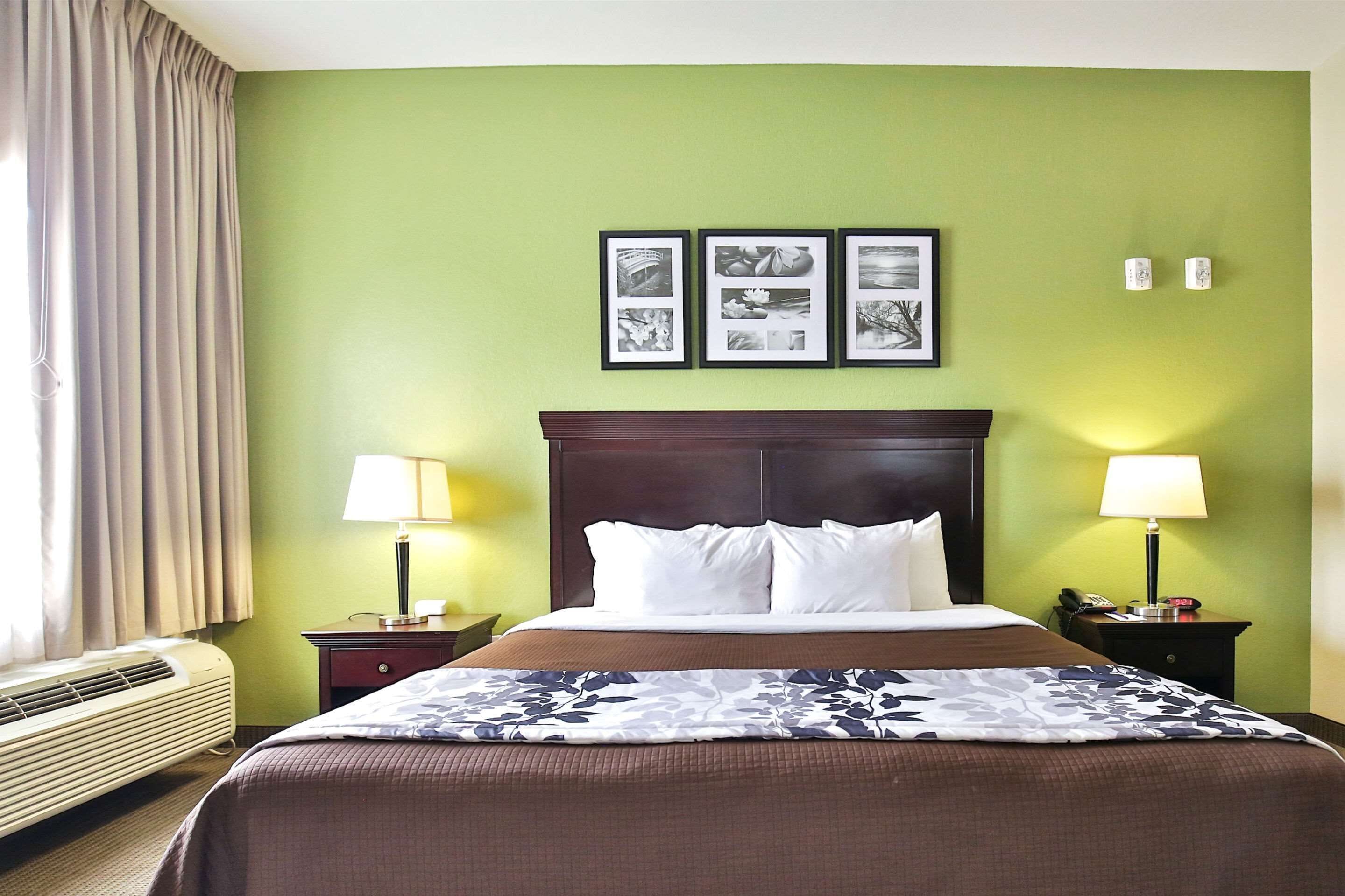 Habitación de hotel con una cama grande, dos mesitas de noche con lámparas, aire acondicionado en la pared y una pared verde con cuadros enmarcados.