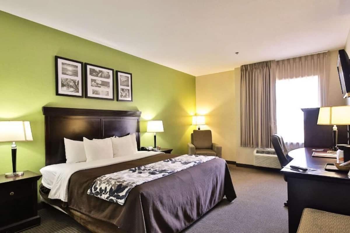 Une chambre d’hôtel comprenant un lit, deux tables de chevet avec des lampes, un bureau avec une chaise, une télévision et des tableaux encadrés accrochés au mur.