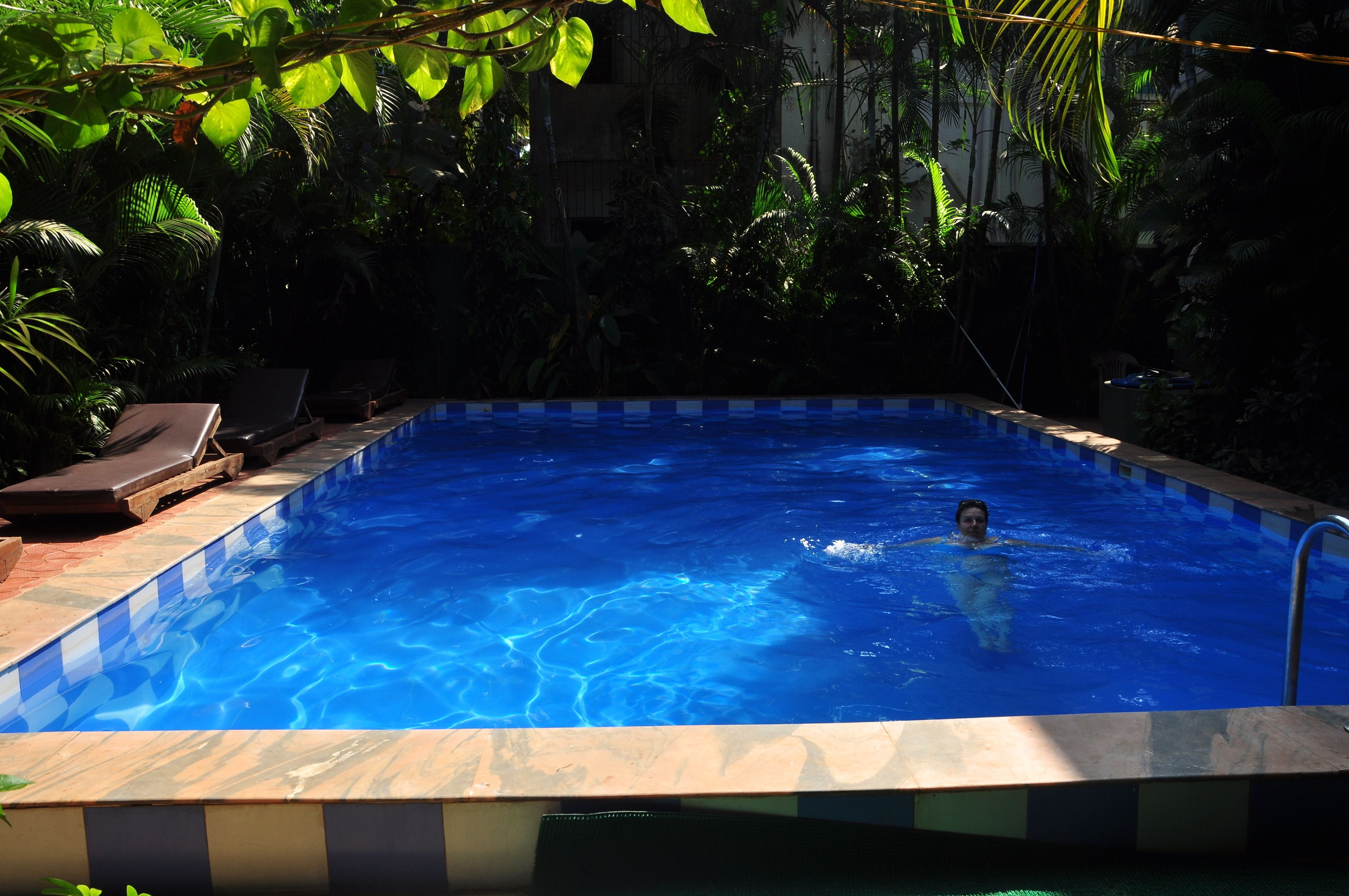 Una piscina con una persona nadando, rodeada de exuberante vegetación.