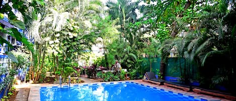 A swimming pool surrounded by lush greenery, with a few lounge chairs and a small table nearby.