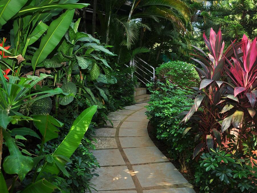 Un sendero de piedra rodeado de exuberante vegetación tropical.