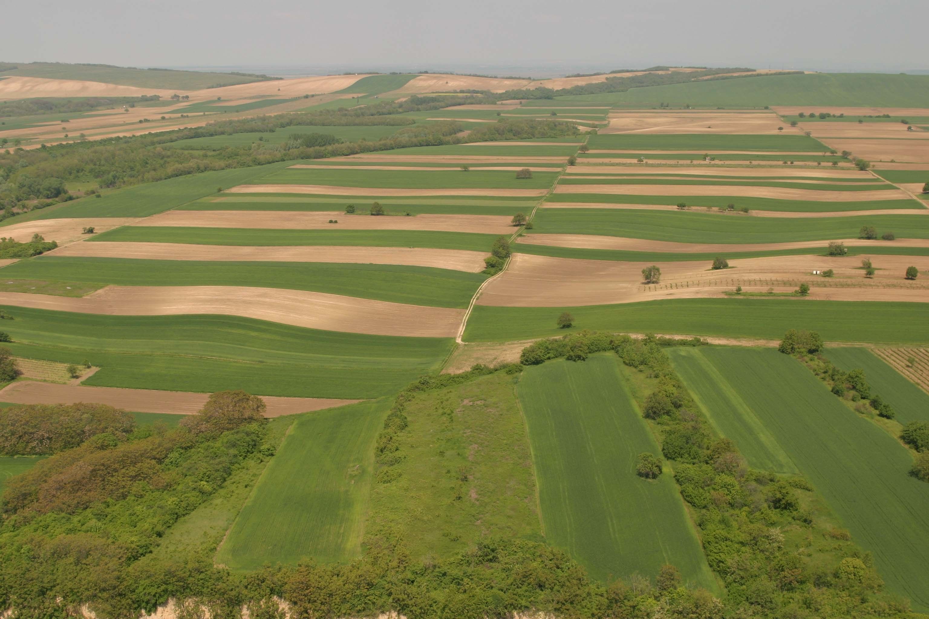 Eine Luftaufnahme einer ländlichen Landschaft mit deutlich abgrenzbaren Feldern und sanften Hügeln.