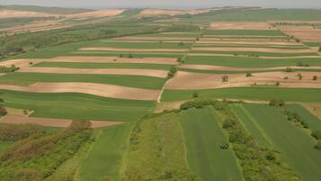 Eine Luftaufnahme einer ländlichen Landschaft mit deutlich abgrenzbaren Feldern und sanften Hügeln.