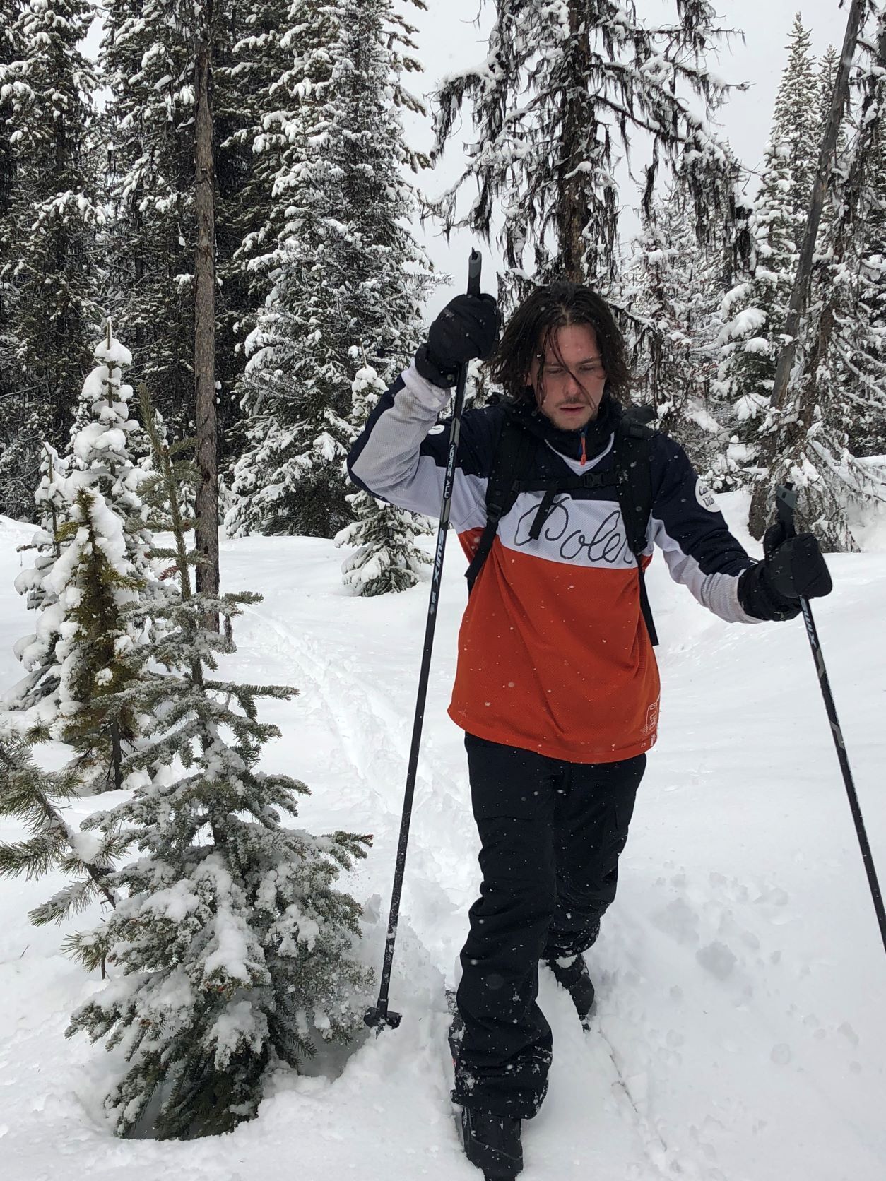 Una persona practicando esquí de fondo en un bosque nevado.