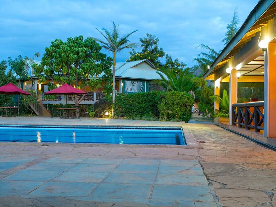 Outdoor pool, pool umbrellas, pool loungers