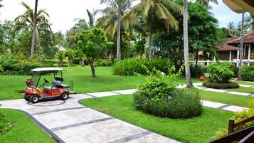 Pemandangan dari kamar