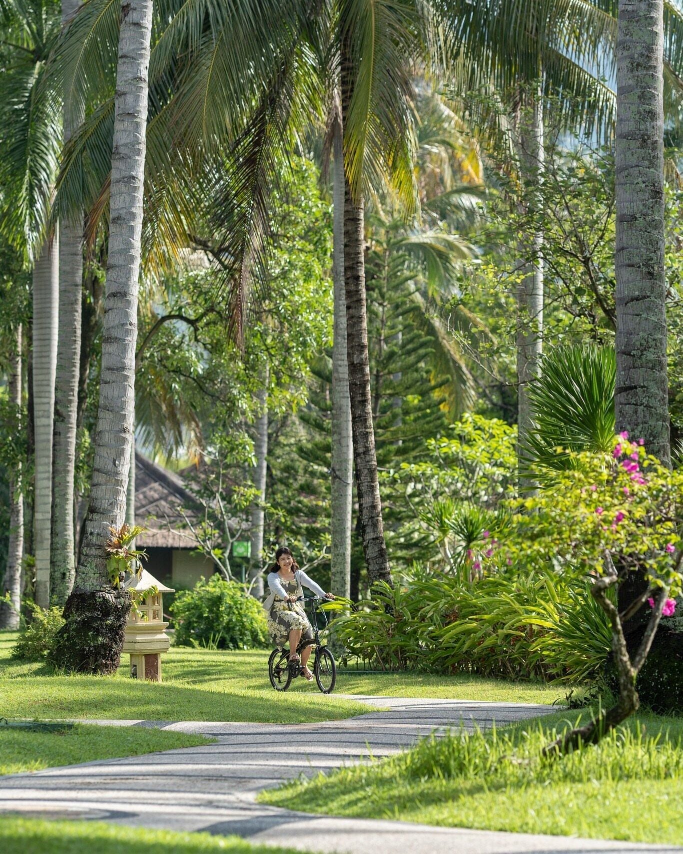 Un sentier bordé de palmiers et d’une végétation luxuriante, qui mène à un bâtiment doté d’un toit de chaume.