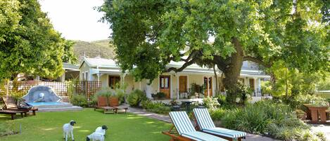 Un jardín con piscina, sillas de descanso y una casa con porche.