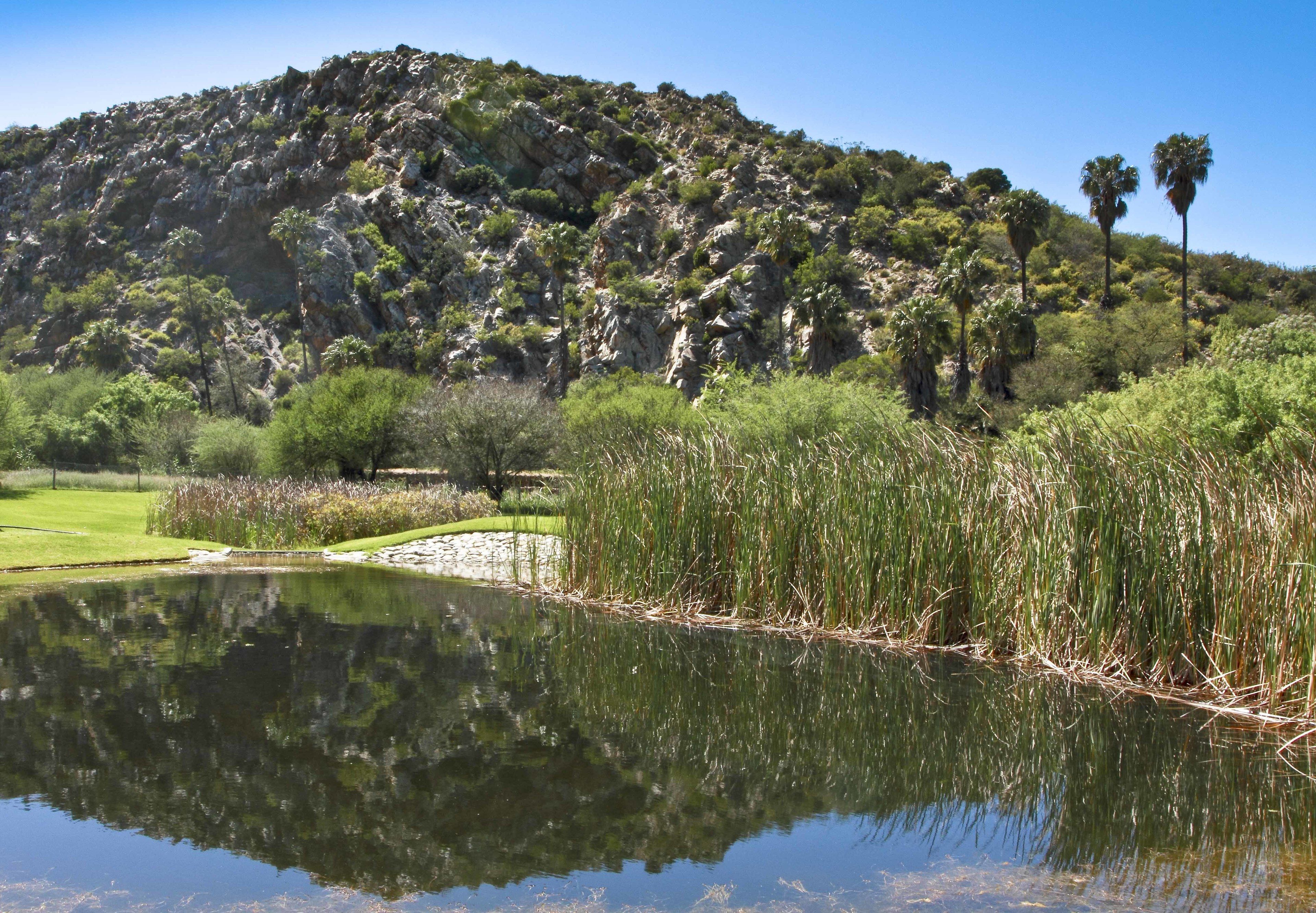 A natural landscape with a pond, a grassy area, and a rocky hill with trees.