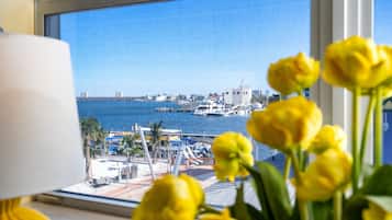 Apartamento, 1 cama de matrimonio grande con sofá cama, vistas a la bahía, en esquina (unit 306) | Vistas desde la habitación