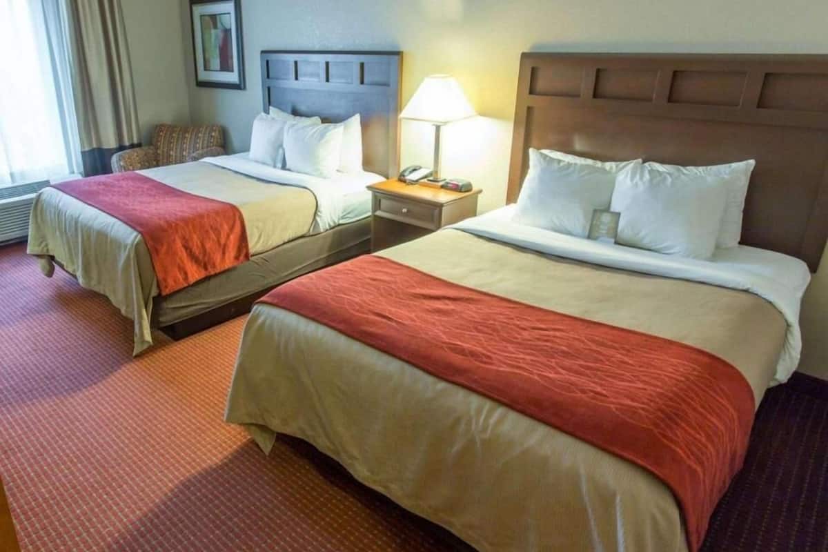 Habitación de hotel con dos camas, una mesita de noche con lámpara, un cuadro en la pared y una ventana con cortinas.
