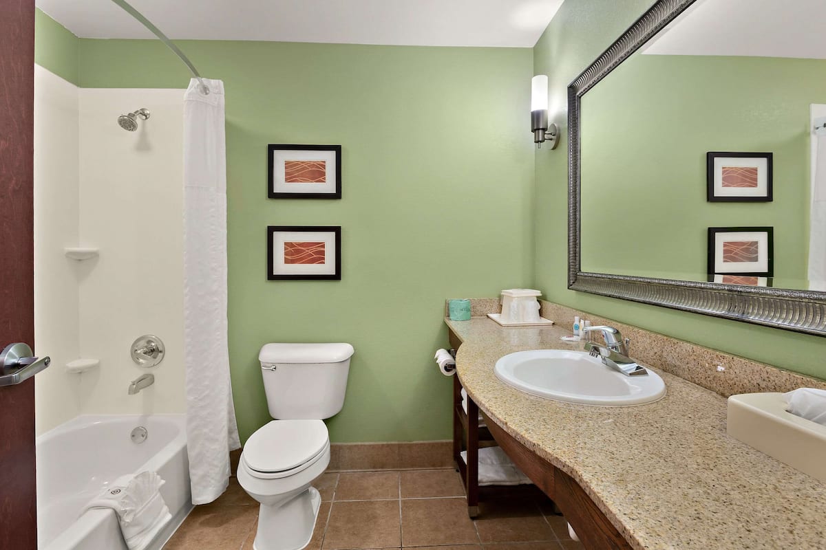 suite, 1 king bed with sofa bed | laptop workspace, blackout curtains, iron/ironing board