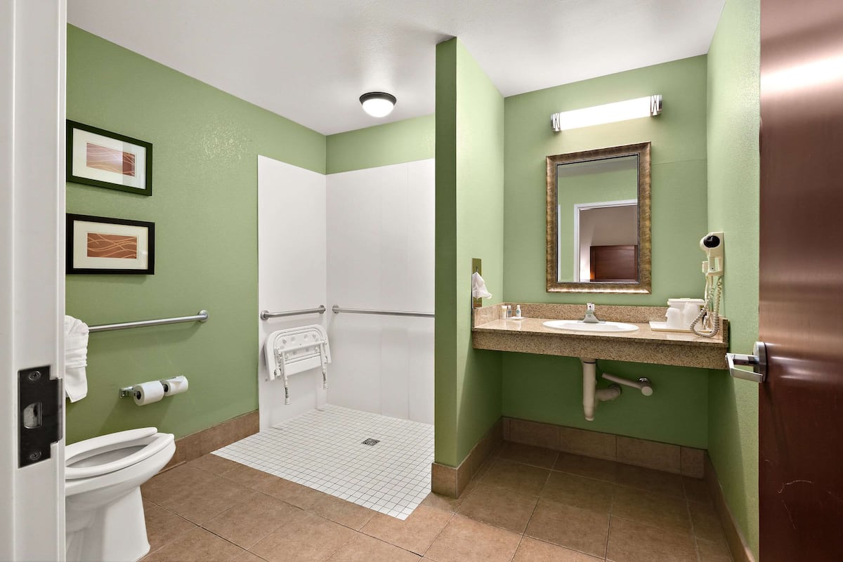 suite, 1 king bed with sofa bed, accessible, non smoking | laptop workspace, blackout curtains, iron/ironing board