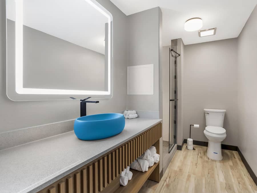 Sviitti, 1 suuri parisänky, tupakointi kielletty (Shower Only;with Sofabed) | Kylpyhuone | Ilmaiset hygieniatuotteet, hiustenkuivaaja, pyyhkeet