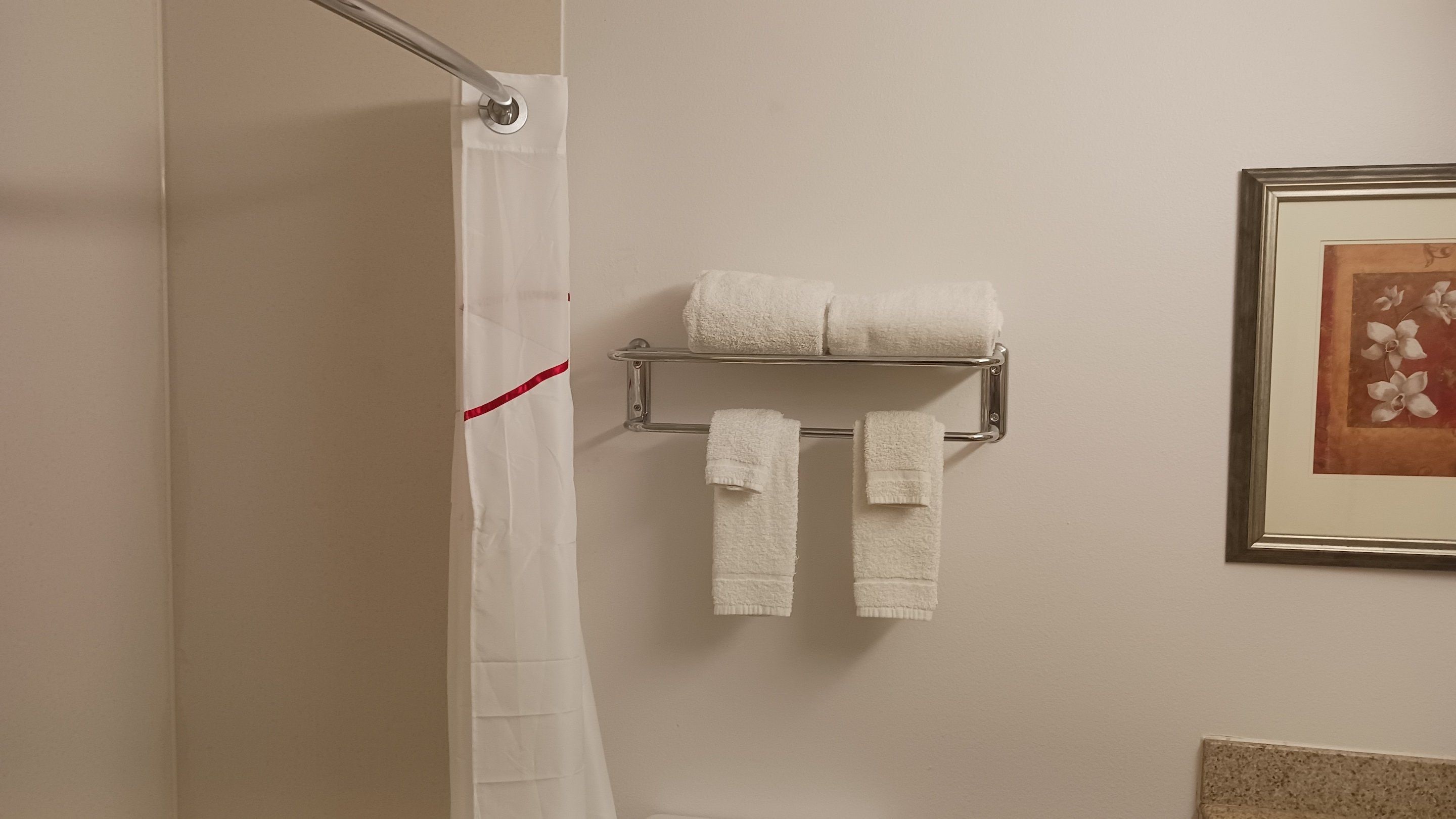 Un baño con cortina de ducha, un toallero con dos toallas y un cuadro en la pared.