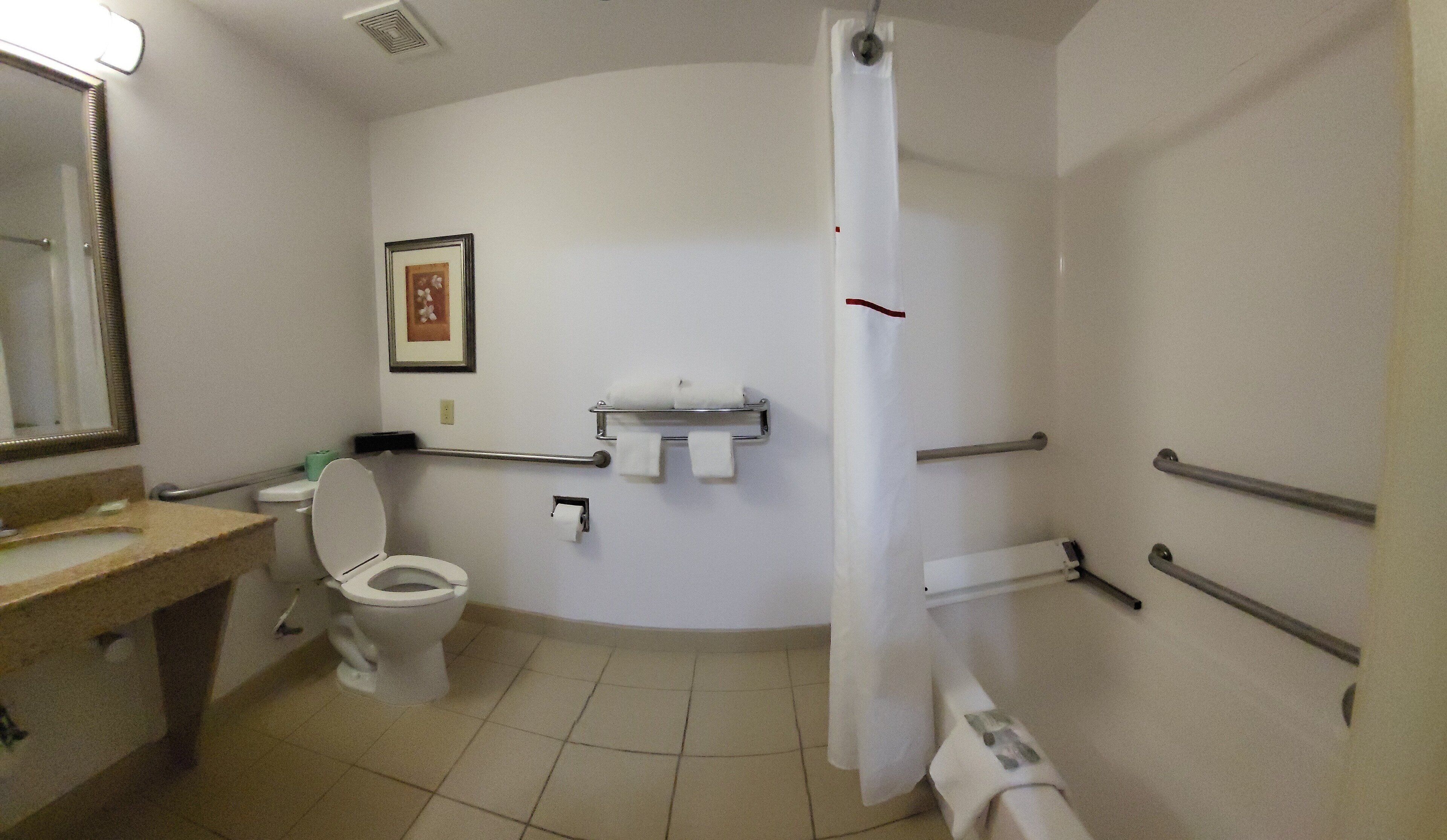 hair dryer, towels, soap, shampoo