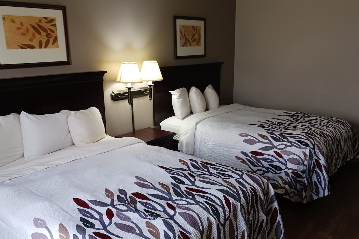 Two beds with white linens and leaf-patterned bedspreads, a nightstand with a lamp, and two framed artworks on the wall.