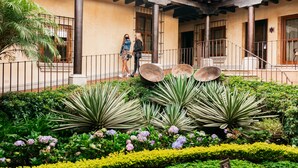 Um pátio com alpendre coberto, palmeiras e diversas plantas.