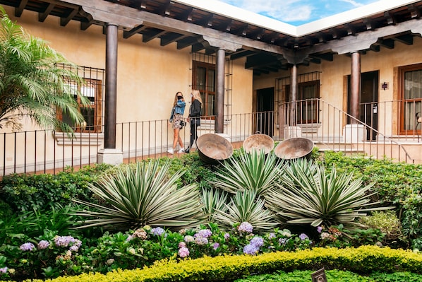Un patio con un porche cubierto, palmeras y diversas plantas.