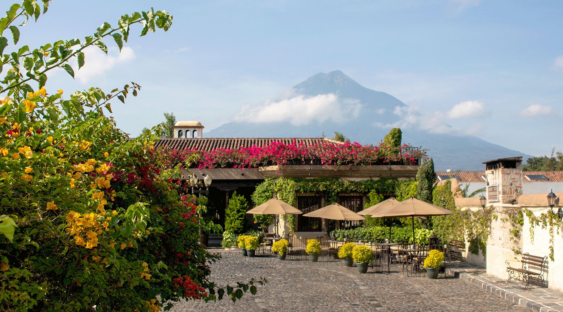 An outdoor café with tables and umbrellas, surrounded by lush greenery and a mountain in the background.