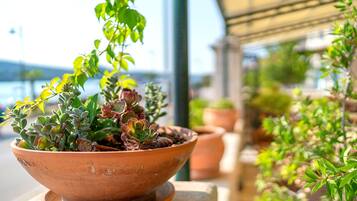 A terracotta pot with succulents on a table under a shaded area.