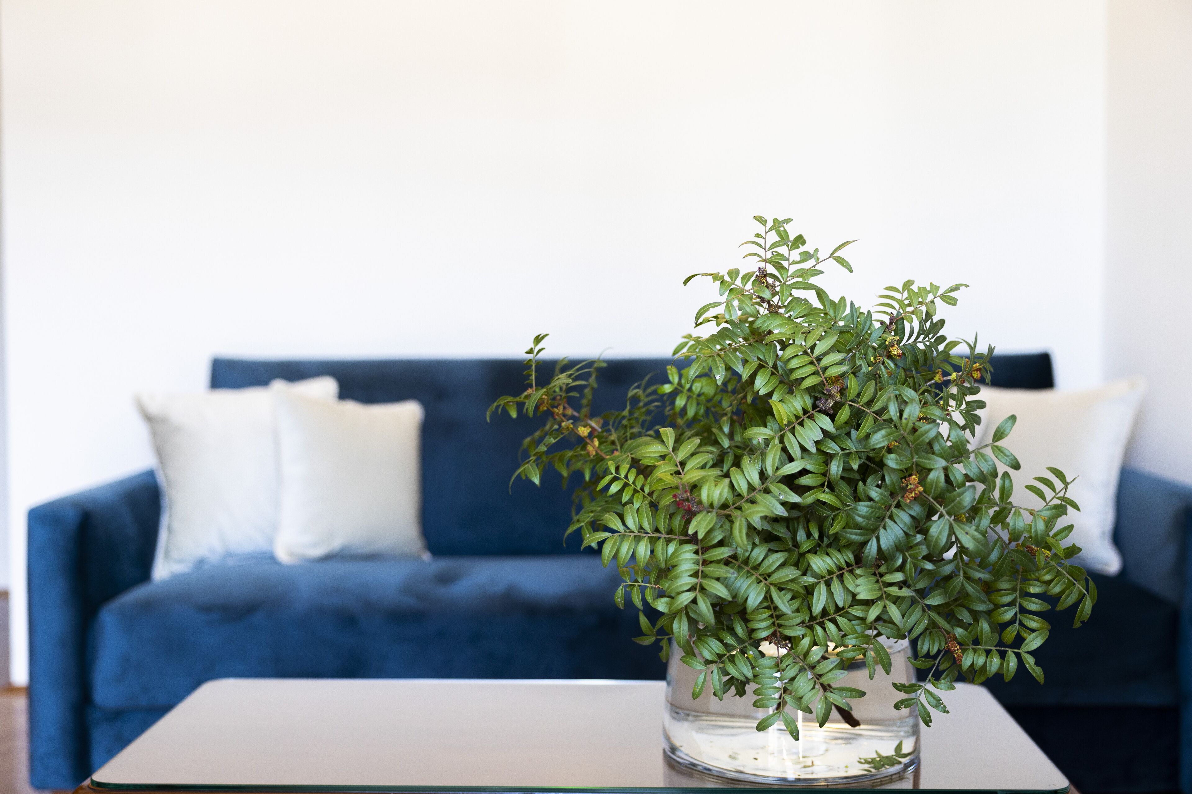 junior suite, balcony, sea view | living area | lcd tv