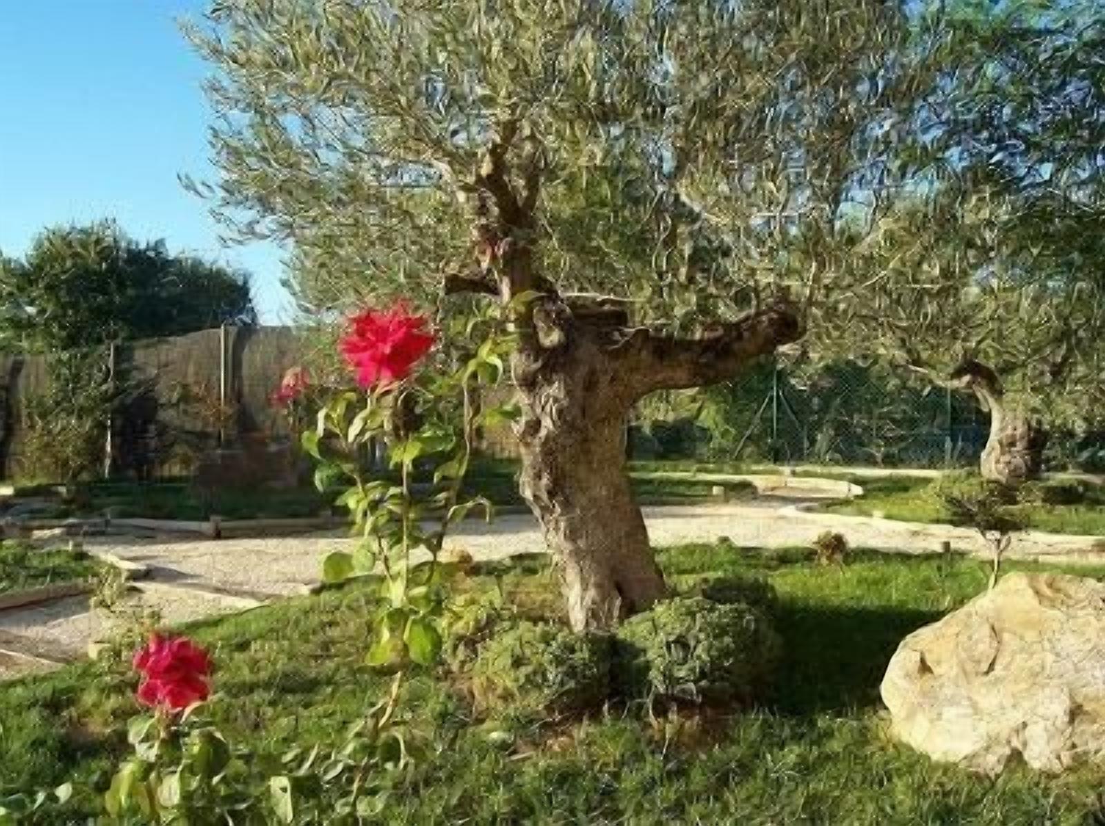 Khuôn viên nơi lưu trú