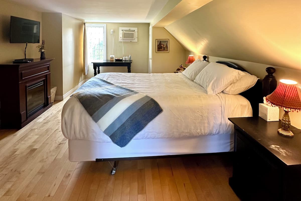 Un dormitorio con cama, mesita de noche, lámpara, televisor y chimenea.