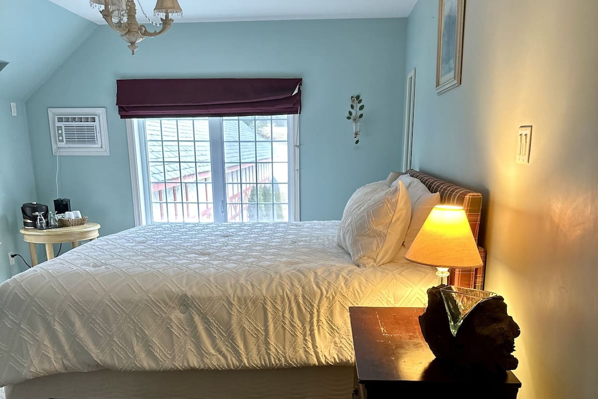 Un dormitorio con cama, mesita de noche con lámpara, ventana con vistas y lámpara en el techo.