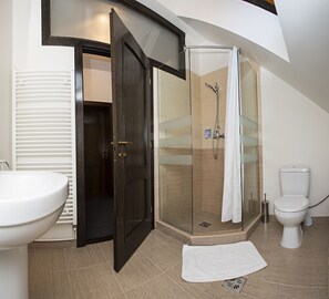 Shower, free toiletries, hair dryer, towels - Residence Ambient (Brasov)