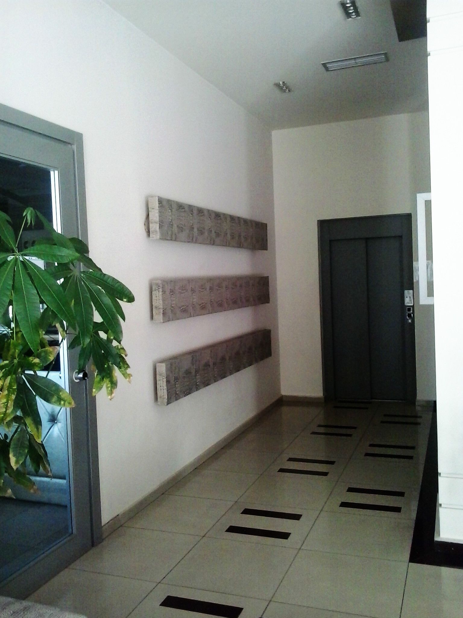 A hallway with a plant, a door, and a wall-mounted panel.