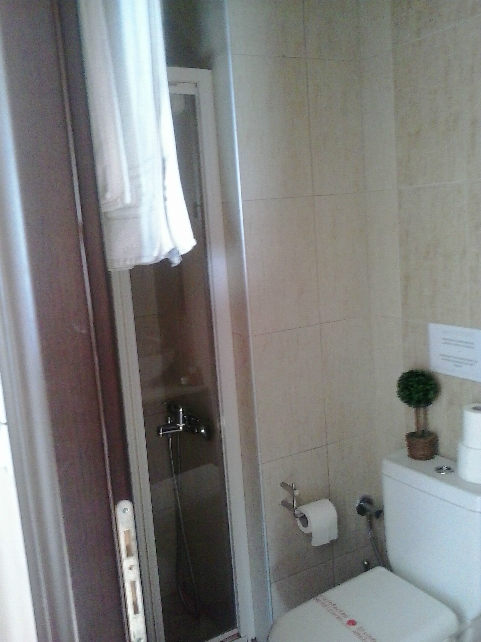 Un baño con ducha, inodoro y una pequeña planta en maceta sobre el inodoro.