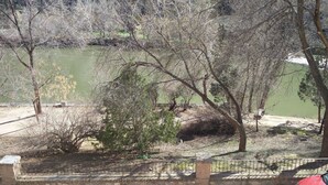 A view of a lake with trees and a red car parked nearby. - Hotel El Diamantista (Toledo)