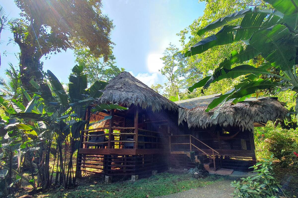 A rustic wooden house with a thatched roof, surrounded by lush greenery.