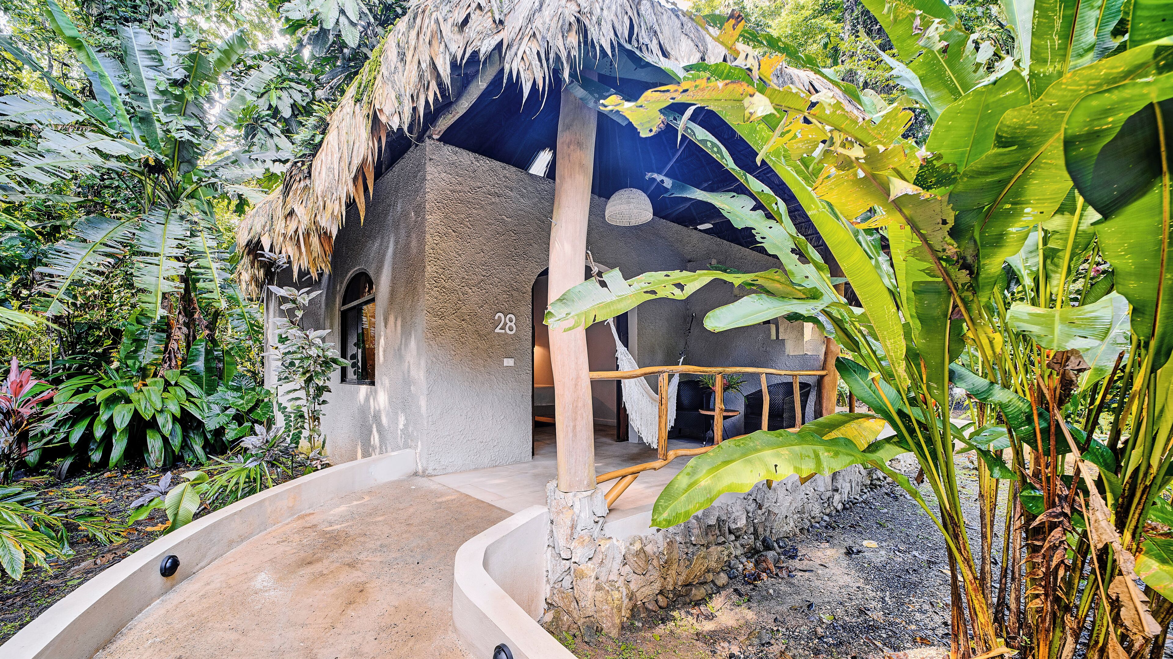 A rustic building with a thatched roof, surrounded by lush tropical vegetation.
