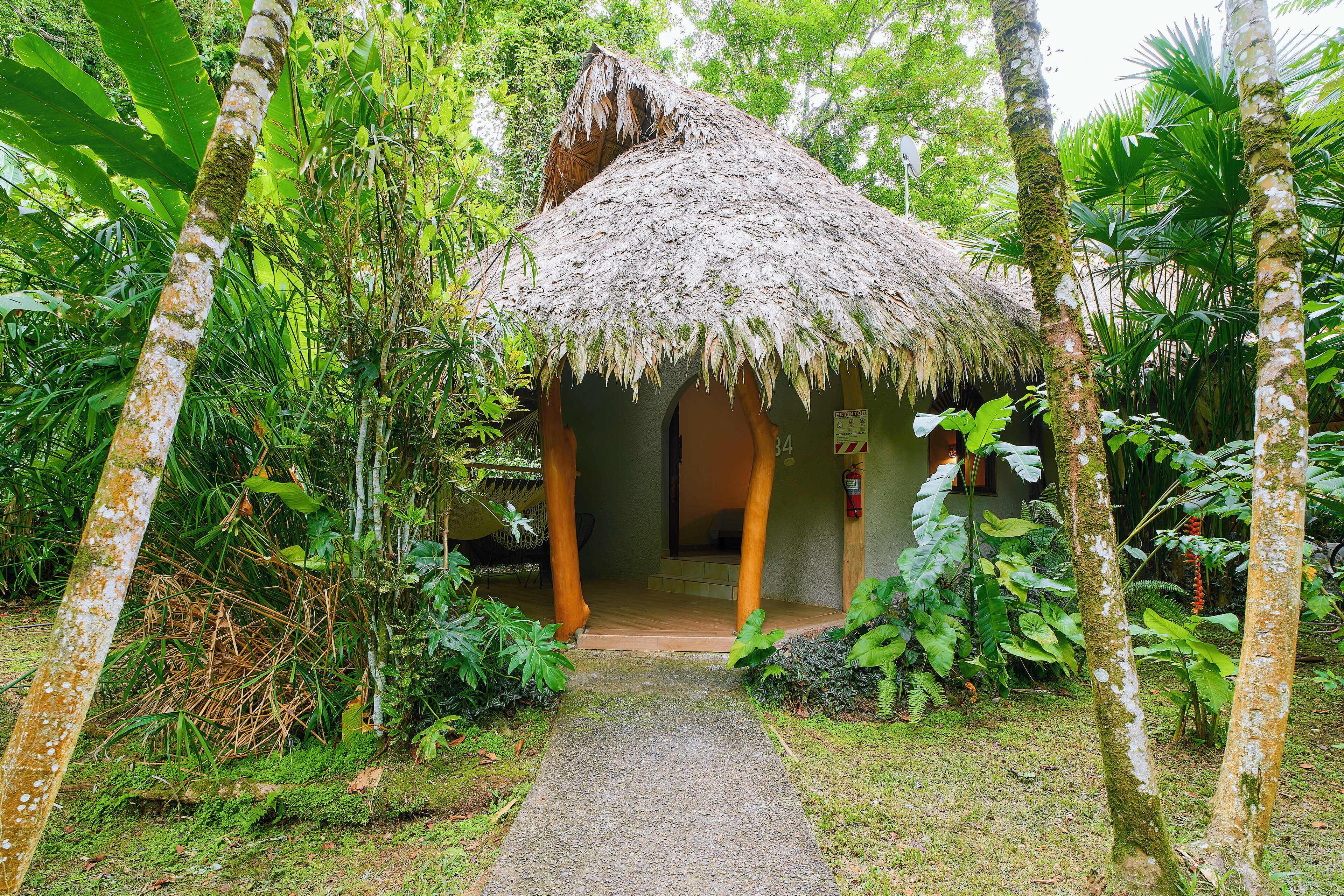 A thatched-roof hut with a paved entrance surrounded by lush greenery.
