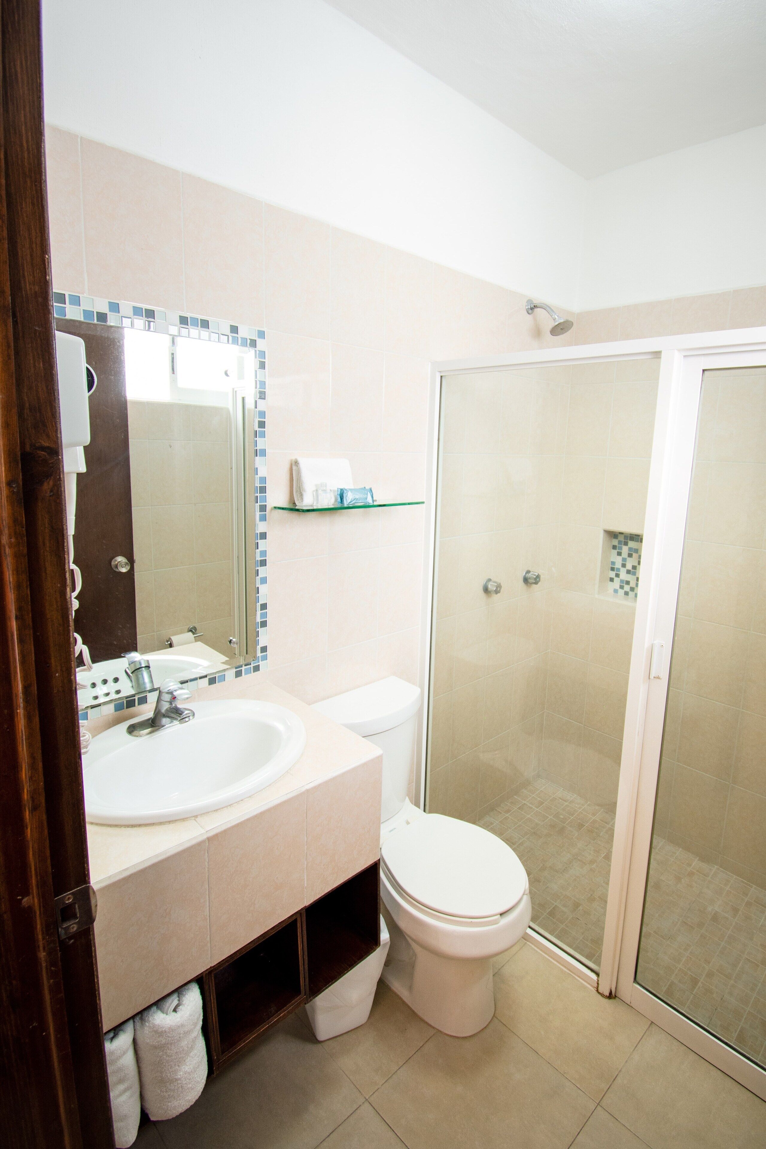 shower, hair dryer, soap, shampoo