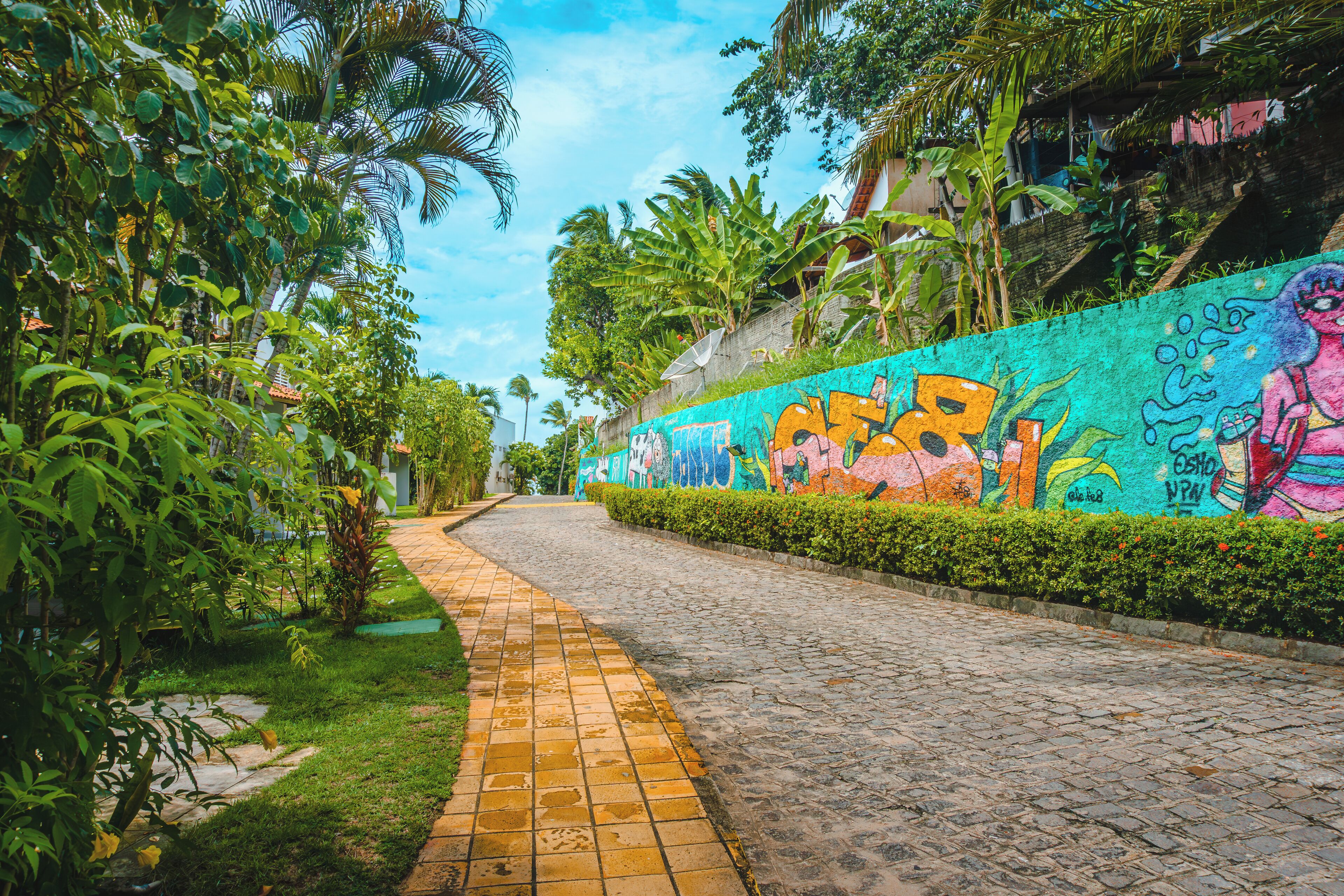 A pathway lined with lush greenery and a colorful mural on the wall.