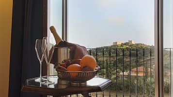 Vista dalla camera