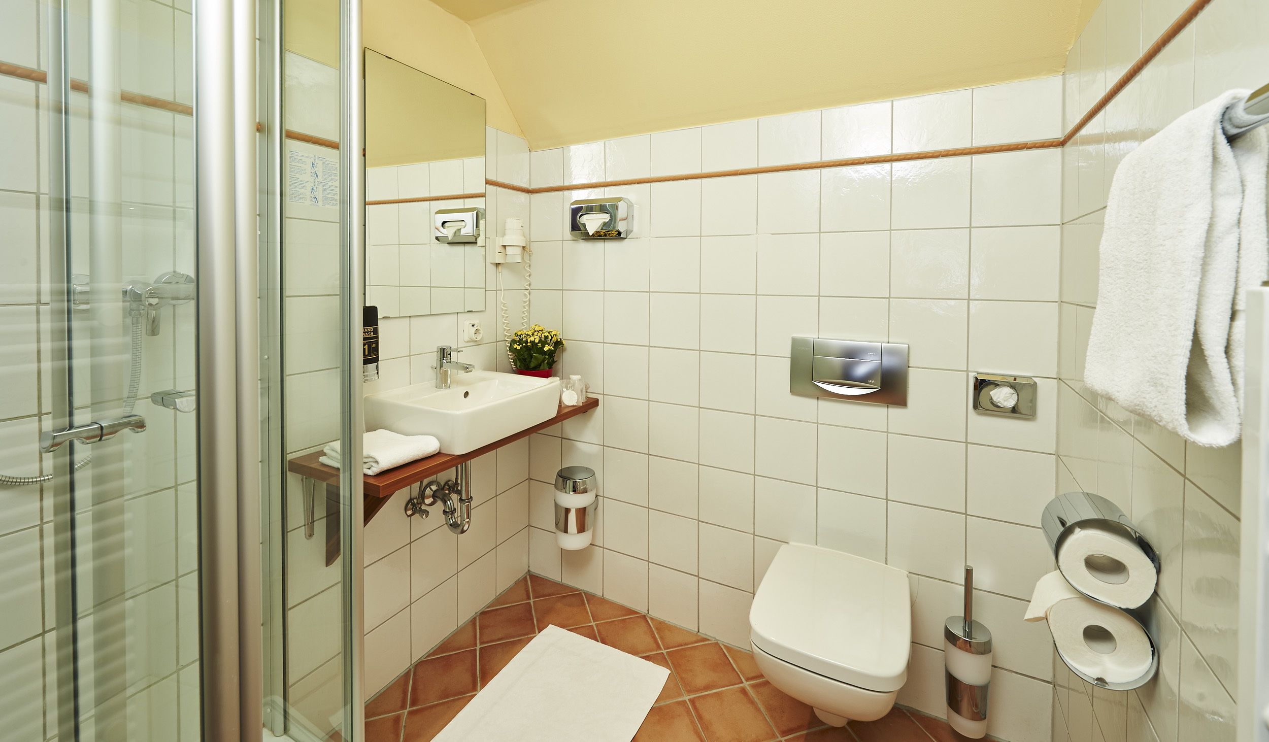 shower, free toiletries, hair dryer, slippers