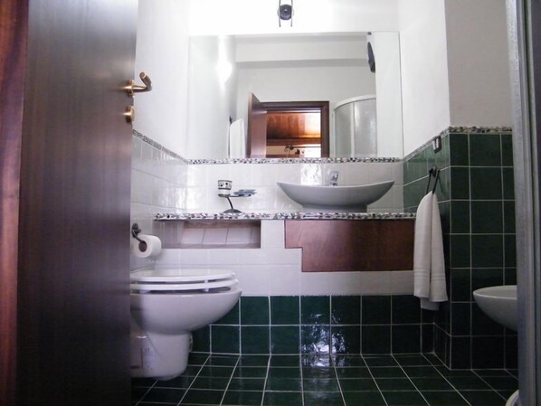 Double or Twin Room | Bathroom | Shower, hair dryer