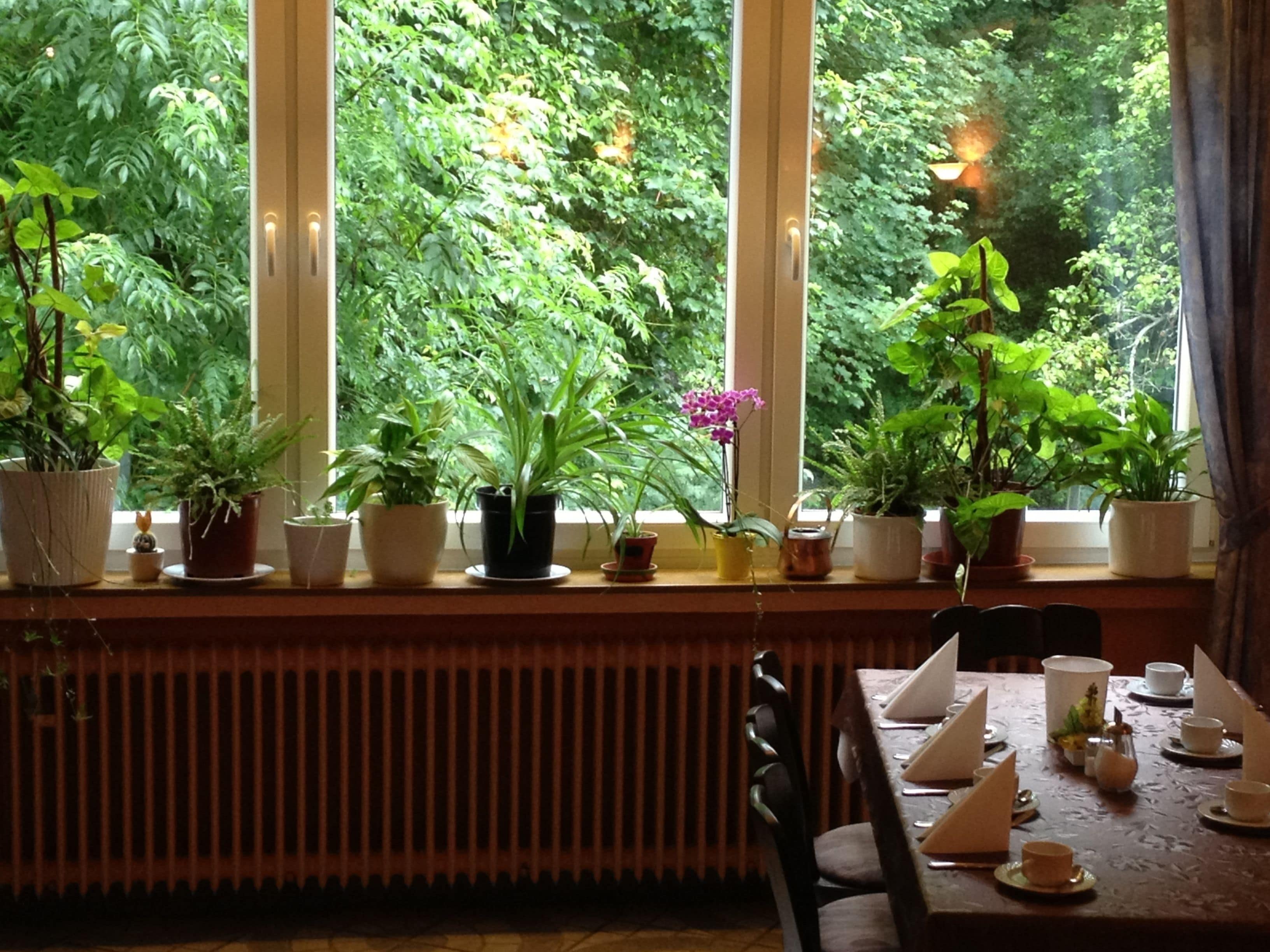 Daily buffet breakfast (EUR 10.50 per person)