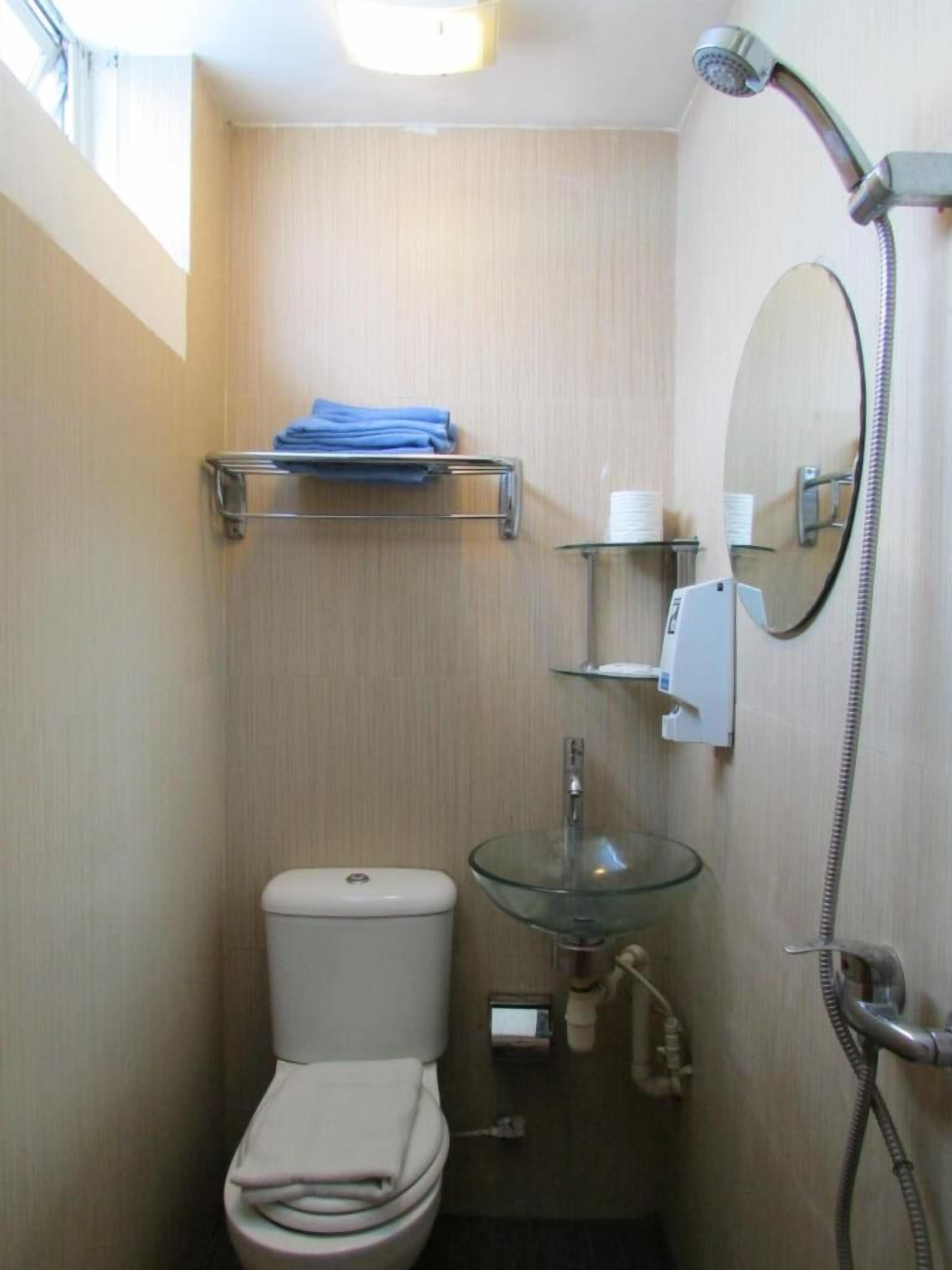 A compact bathroom with a toilet, a glass sink, a handheld showerhead, and a mirror.