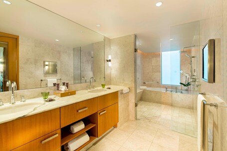 The Ritz Carlton, Dubai International Financial Centre - Image 15