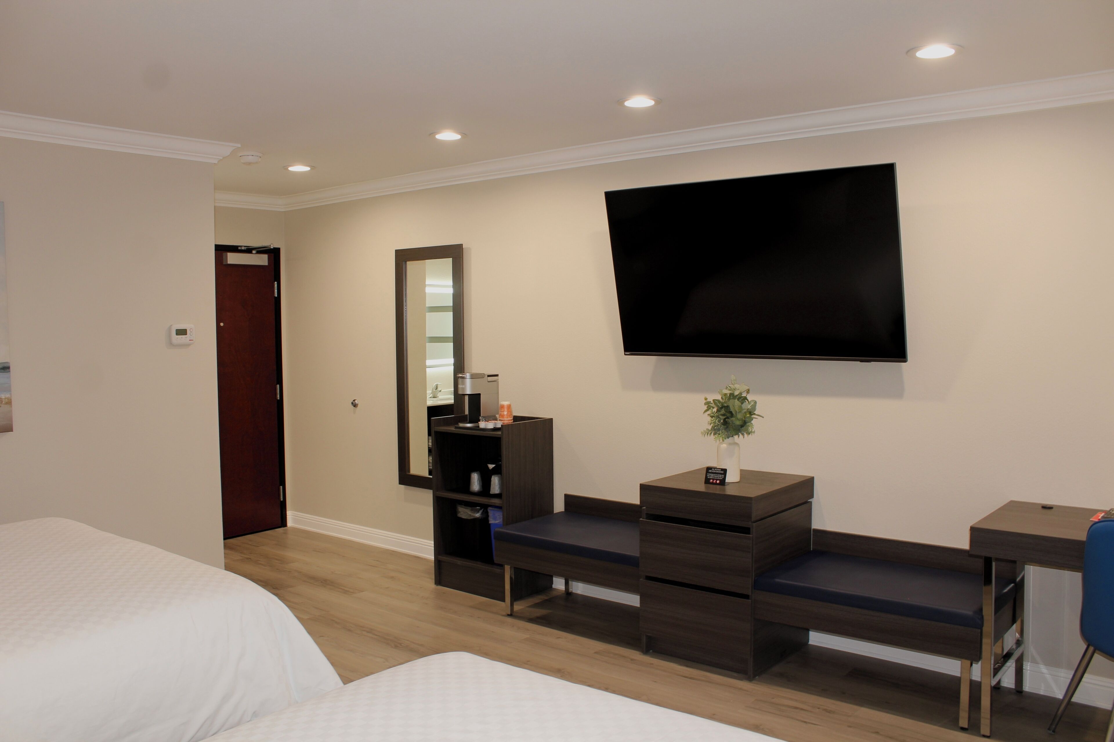 A hotel room with a bed, a desk, a chair, a TV, a mirror, and a shelf with a plant.