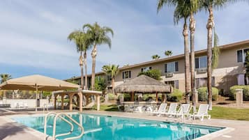 Outdoor pool, pool umbrellas, pool loungers