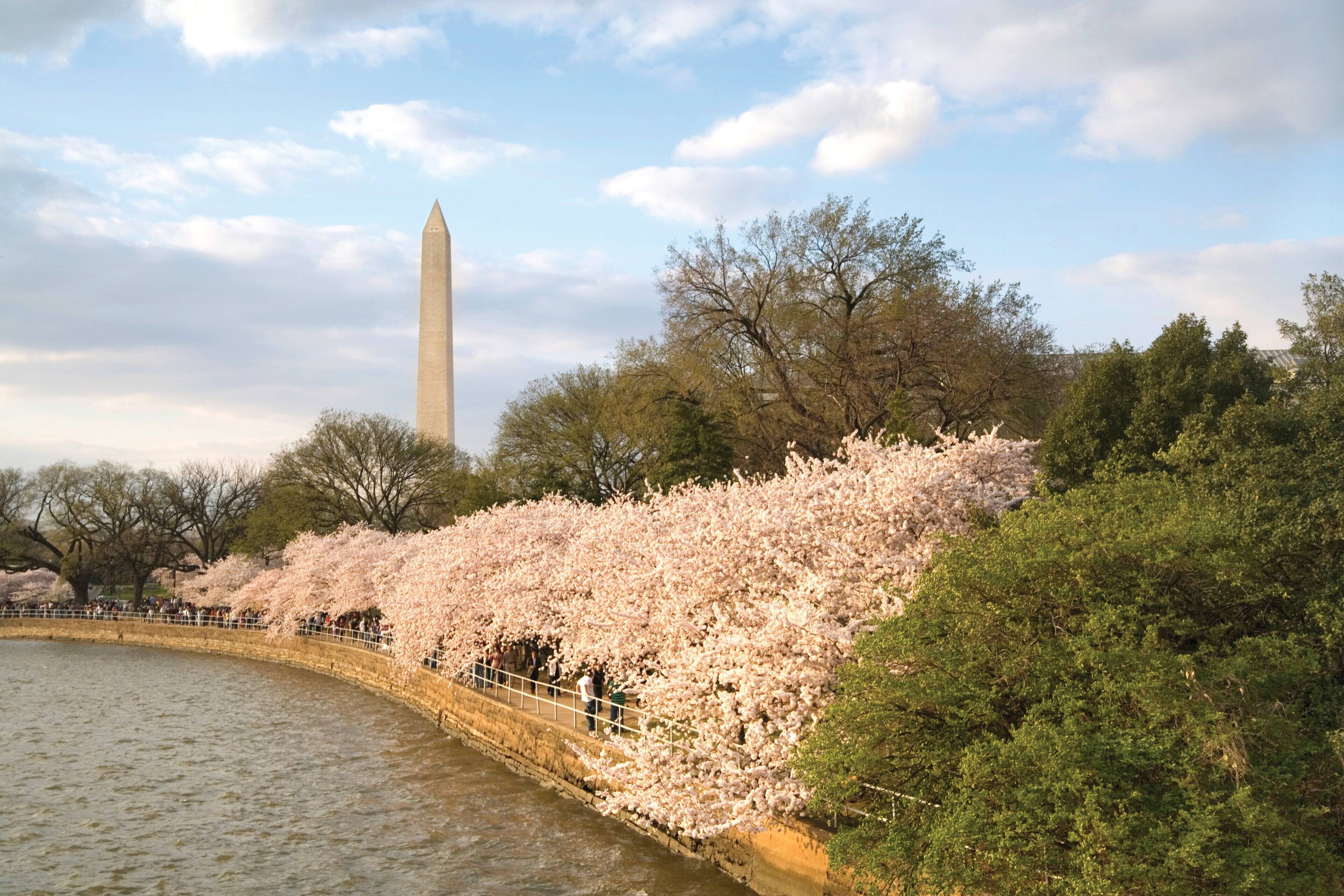 Foto - Club Wyndham National Harbor